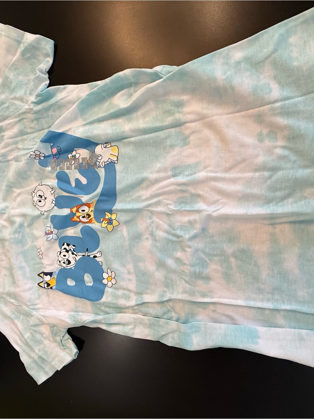 Kids Bluey Tie-Dye Graphic Tee